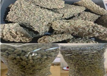 मुंबई हवाई अड्डे से 32 करोड़ रुपये का गांजा जब्त, आठ यात्री गिरफ्तार