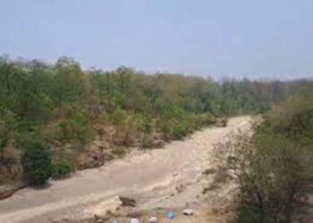 बलरामपुर जिले के सोहेलवा वनक्षेत्र के लौकी बीट में वन्य जीव के हमले से युवक की मौत