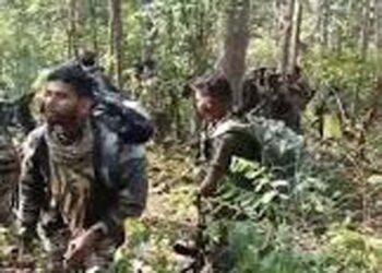 छत्तीसगढ़ के नेशनल पार्क जंगलों में बड़ी मुठभेड़, 27 लाख इनामी 6 माओवादी ढेर