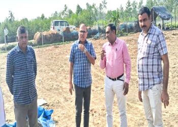 रुदौली में रौजागांव चीनी मिल ने 20 नव. 25 तक खरीदे गये गन्ने का किसानो को किया भुगतान