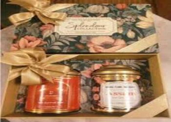 Modi ने पुतिन को असम की काली चाय, कश्मीरी केसर और भगवद गीता उपहार में दिए