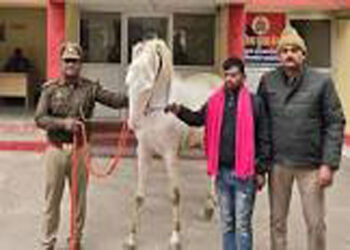 लखनऊ से चोरी हुआ मुहर्रम जुलूस में शामिल घोड़ा बरामद, आरोपी गिरफ्तार