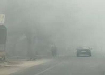 कोहरा और शीतलहर जारी, कई हिस्सों में दिन का तापमान सामान्य से कम