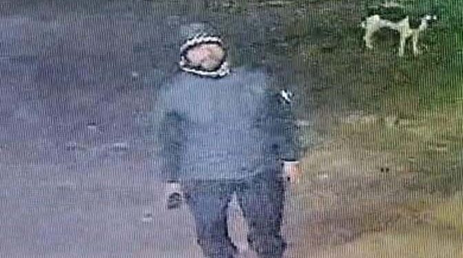 रुदौली में बेखौफ चोर ने धर्मकांटा से ट्राला लेकर हुए फरार, ट्रैक्टर लेकर की   चोरी; घटना सीसीटीवी कैमरे में हुई कैद