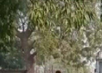 बलिया: घर से किन्नर और युवक के शव बरामद, हत्या के बाद आत्महत्या की आशंका