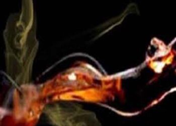 आगरा: महिला पर अपने पूर्व प्रेमी पर पेट्रोल डालकर आग लगाने के आरोप में मुकदमा