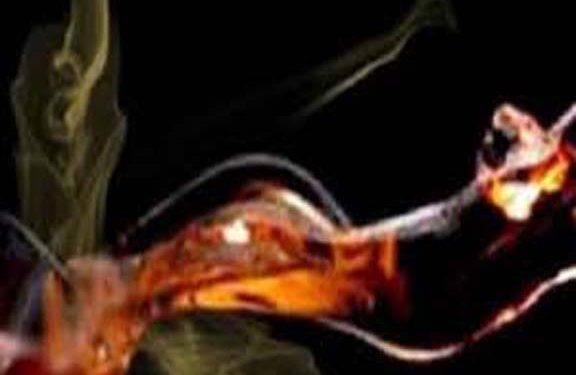 आगरा: महिला पर अपने पूर्व प्रेमी पर पेट्रोल डालकर आग लगाने के आरोप में मुकदमा