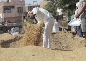 केंद्र सरकार ने गेहूं, धान की खरीद में आढ़तियों, सहकारी समितियों का कमीशन बढ़ाया