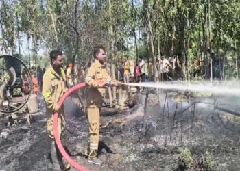मवई थाना क्षेत्र के मोहम्मदपुर दाउदपुर में लगी भीषड़ आग; अग्निकांड में तीन गायों की दर्दनाक मौत