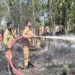 मवई थाना क्षेत्र के मोहम्मदपुर दाउदपुर में लगी भीषड़ आग; अग्निकांड में तीन गायों की दर्दनाक मौत