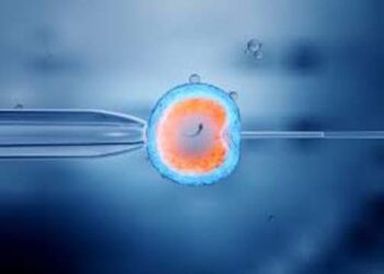 दिल्ली हाईकोर्ट ने पत्नी को कोमा में गए सैन्यकर्मी के शुक्राणु लेकर IVF प्रक्रिया की दी अनुमति