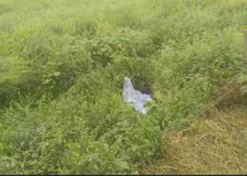 जालौन में खेत में मिला पुरुष और विवाहित महिला का शव, जांच में जुटी पुलिस