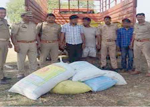 भदोही में आडिशा से आरहे ट्रक से बरामद किया 52 लाख रुपये का गांजा, तीन तस्कर गिरफ्तार