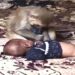 Video, मुजफ्फरनगर में बंदर के चंगुल में 3 महीने की बच्ची! बच्ची डेढ़ घंटे तक बंधक, रेस्क्यू के दौरान बंदर ने 3-4 लोगों को काटा?