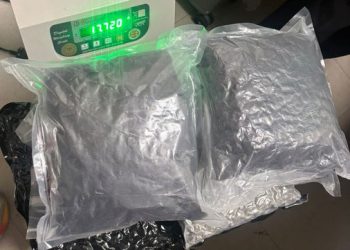 IGI पर सीमा शुल्क विभाग ने 17.7 किलोग्राम हाइड्रोपोनिक गांजा पकड़ा