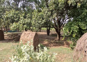 अलीगढ़ में 16 बीघा जमीन को शत्रु संपत्ति घोषित करने की प्रशासनिक कार्रवाई तेज