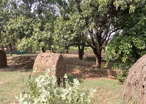 अलीगढ़ में 16 बीघा जमीन को शत्रु संपत्ति घोषित करने की प्रशासनिक कार्रवाई तेज