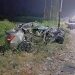 अमरोहा में भीषण सड़क हादसा: ट्रक से टकराई कार, चार की मौत, दो गंभीर घायल