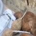 कन्नूर: मतगणना से पहले मुख्यमंत्री विजयन के निर्वाचन क्षेत्र धर्मदम में विस्फोटक सामग्री जब्त