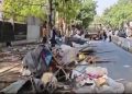 लखनऊ: सिविल कोर्ट में निगम की बड़ी काईवाई, वकीलों के अवैध चैंबरों पर चला बुलडोजर