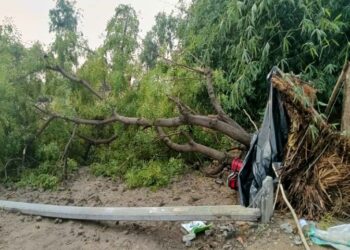 रुदौली : चक्रवाती तूफान के चलते जनजीवन हुआ अस्त व्यस्त; नीम का पेड़ गिरने से गिरा विधुत पोल व दब गया छप्पर