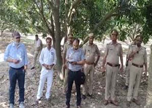सहारनपुर में पूर्व एमएलसी हाजी इकबाल के कुर्क किए गए आम के बाग से सैकड़ों पेटी आम जब्त