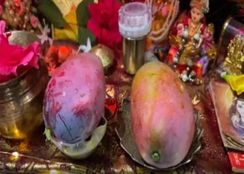 अयोध्या के किसान ओमप्रकाश सिंह ने दुनिया के सबसे महंगे मियाज़ाकी आम को भगवान राम को किया अर्पित