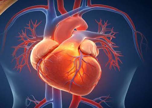 New Study: क्या ह्दयाघात वाले मरीजों के रक्त में अधिक होते हैं सूक्ष्म प्लास्टिक कण?