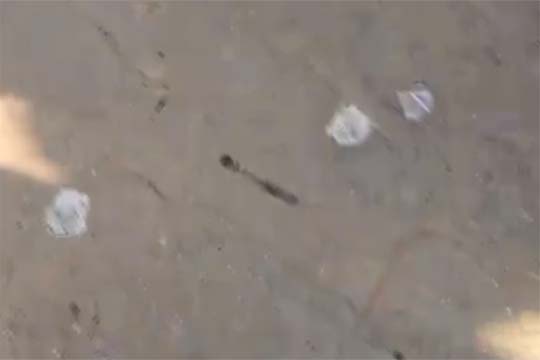 काशी विश्वनाथ मंदिर के बाहर तैनात PAC जवान की कार्बाइन से चली गोली, तीन लोग घायल