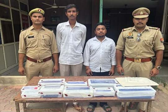 मेरठ में फर्जी पुलिस गैंग का भंडाफोड़: SHO-CO बनकर करते थे अपहरण, रंगदारी और वसूली, दो आरोपी गिरफ्तार